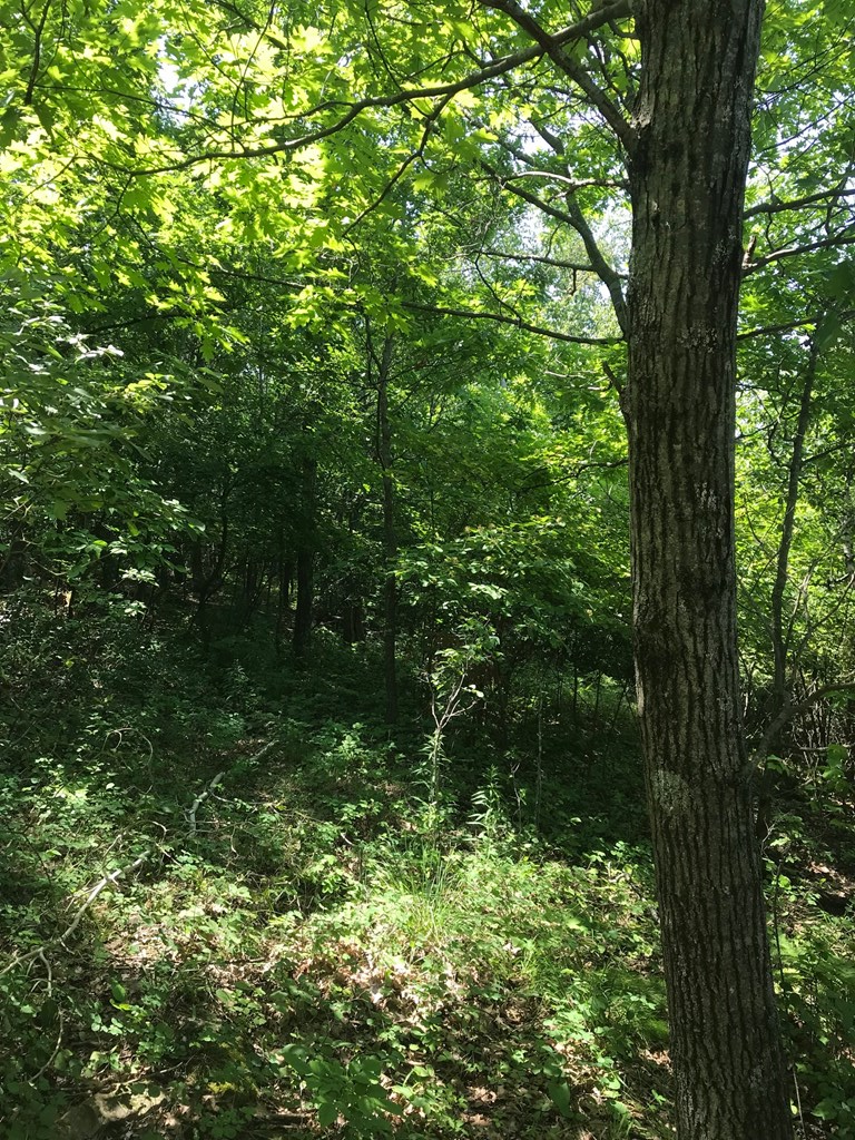 West Whitefish Bay Road Sturgeon Bay, WI 54235 - Photo 23 of 28
