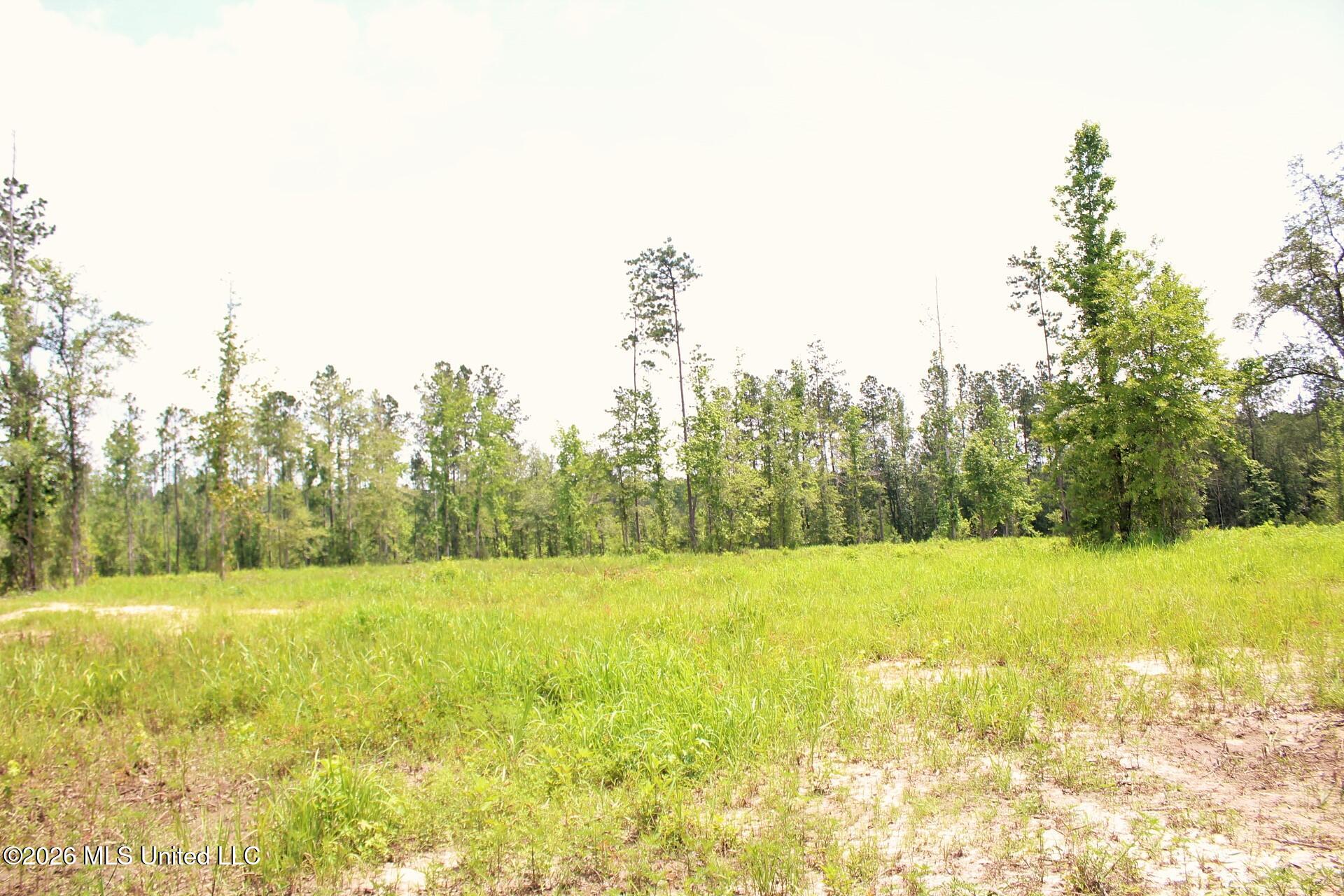 24.48-ac River Road Lucedale, MS 39452 - Photo 12 of 19 IMG_3925