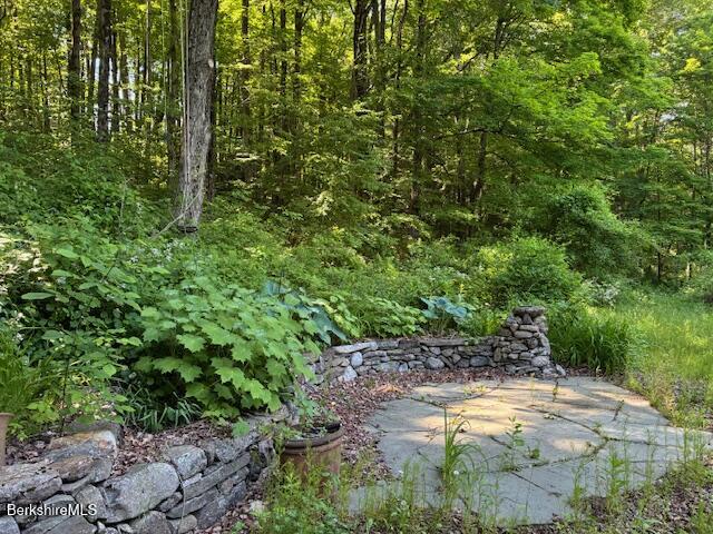 127 Monument Valley Road Great Barrington, MA 01230 - Photo 61 of 64 IMG_7038