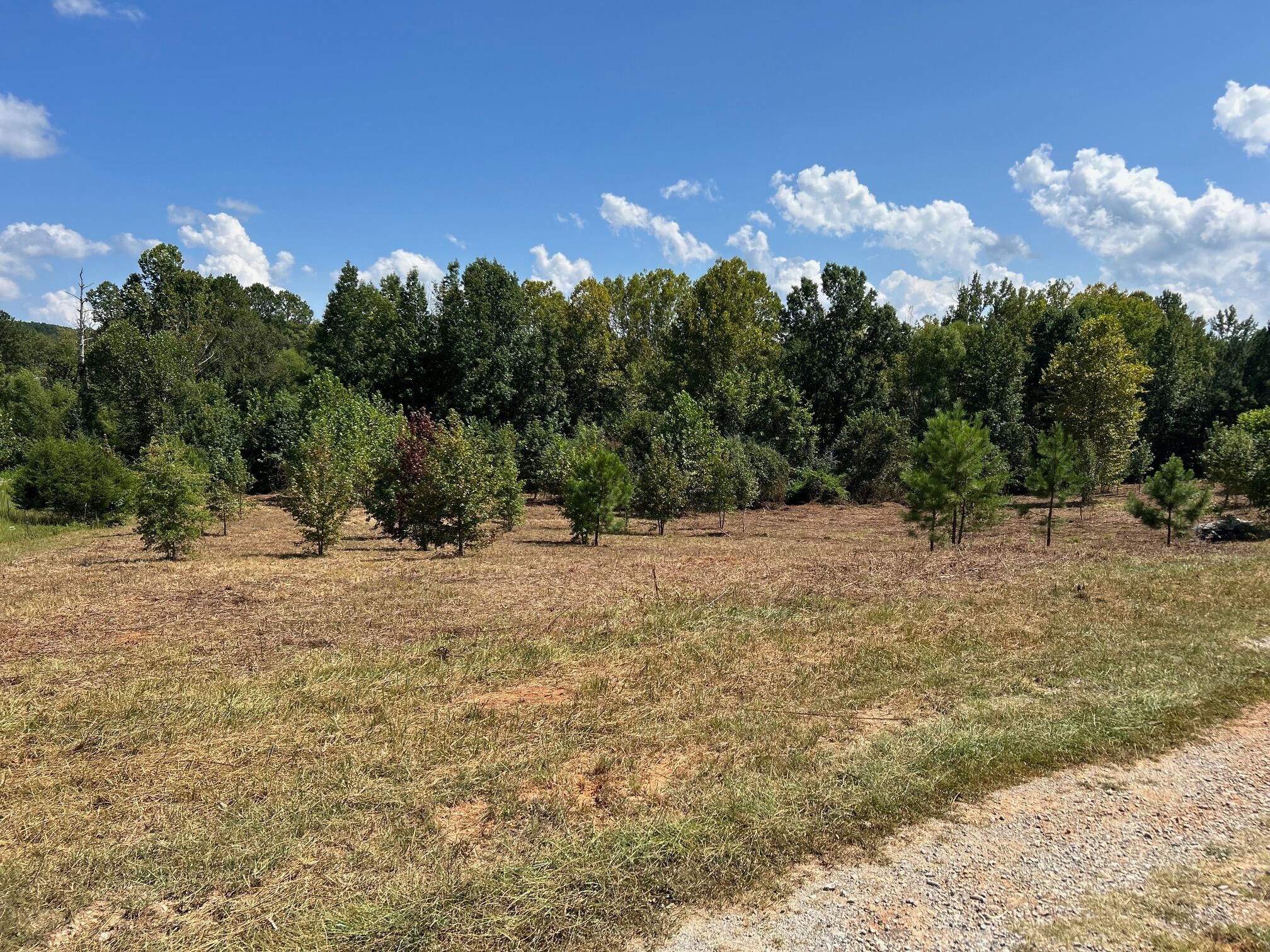 684 Cuno Lane Decatur, TN 37322 - Photo 8 of 25