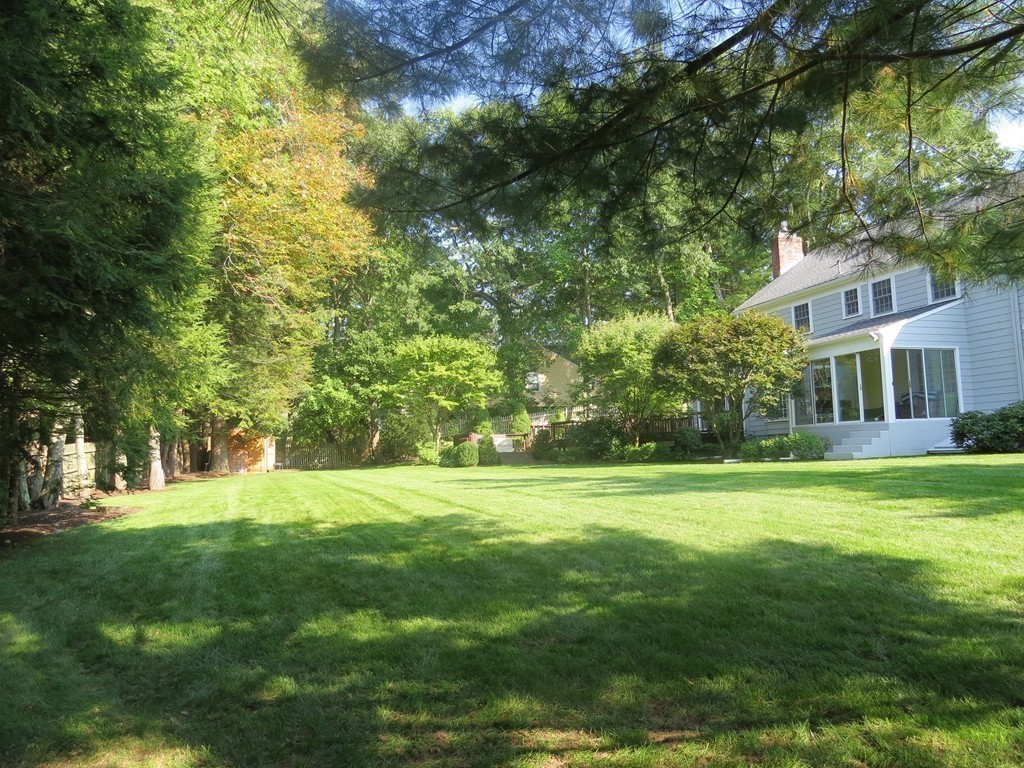 33 Oakridge Road Wellesley, MA 02481 - Photo 24 of 27 a big yard with lots of green space and trees