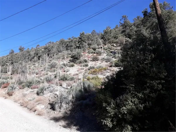a view of a backyard of the house