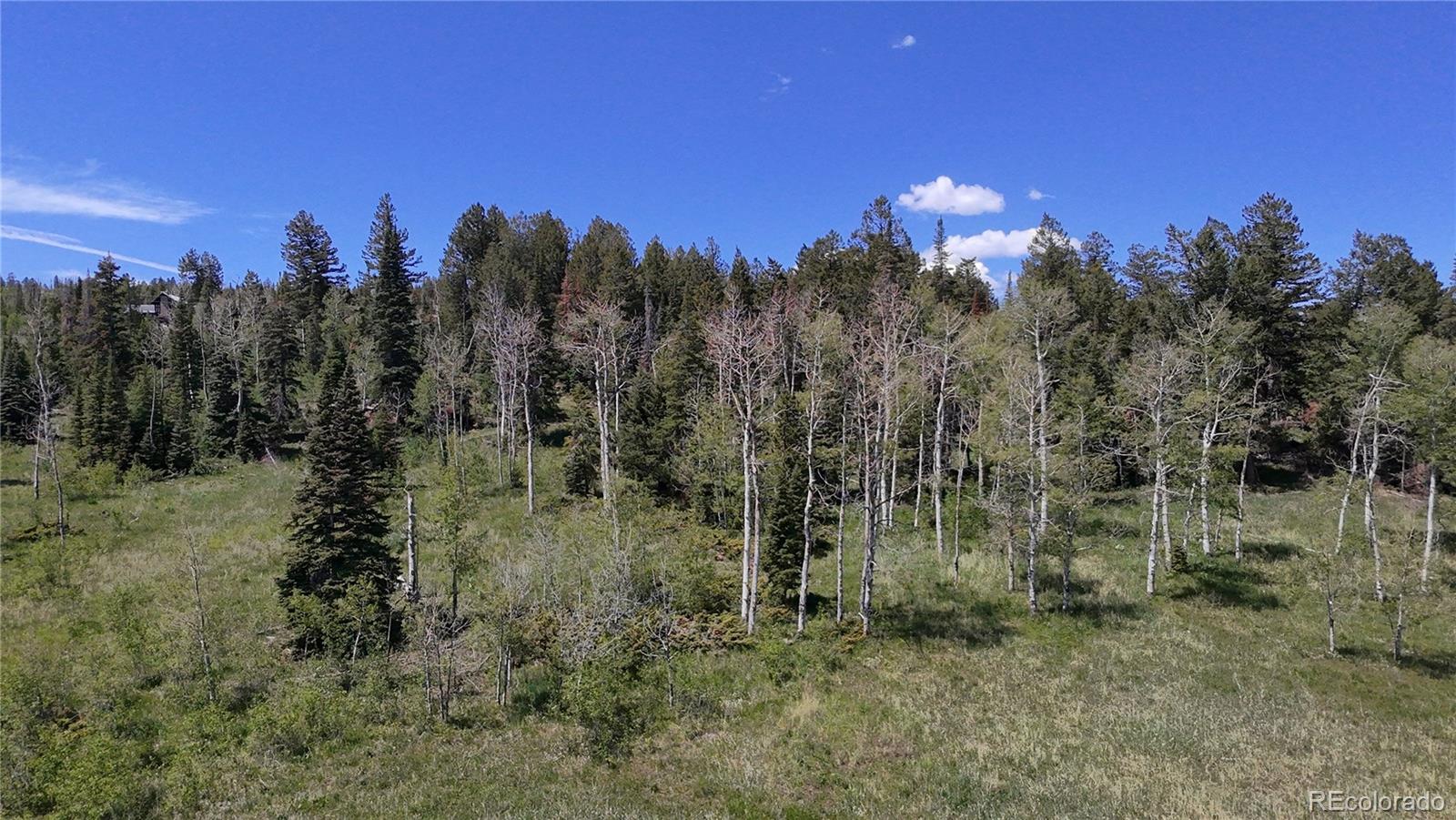 Spring Creek Ranch Road Silverthorne, CO 80498 - Photo 27 of 38