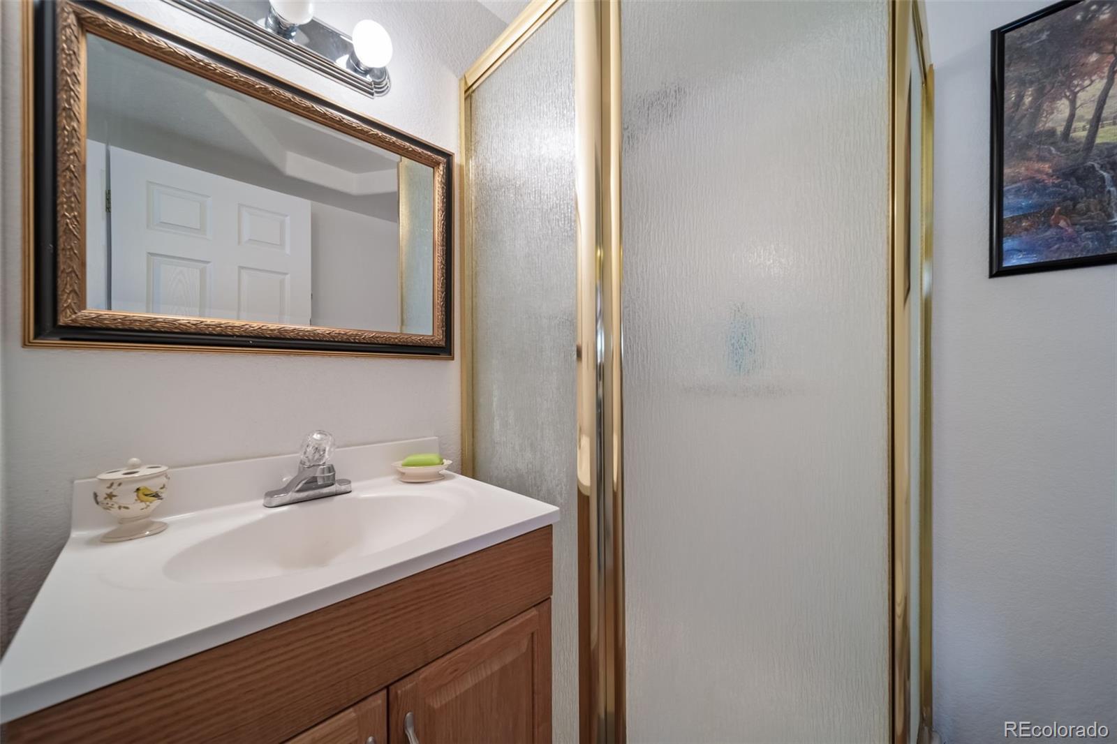 3041 South Jericho Way Aurora, CO 80013 - Photo 41 of 46 a bathroom with a sink and a mirror