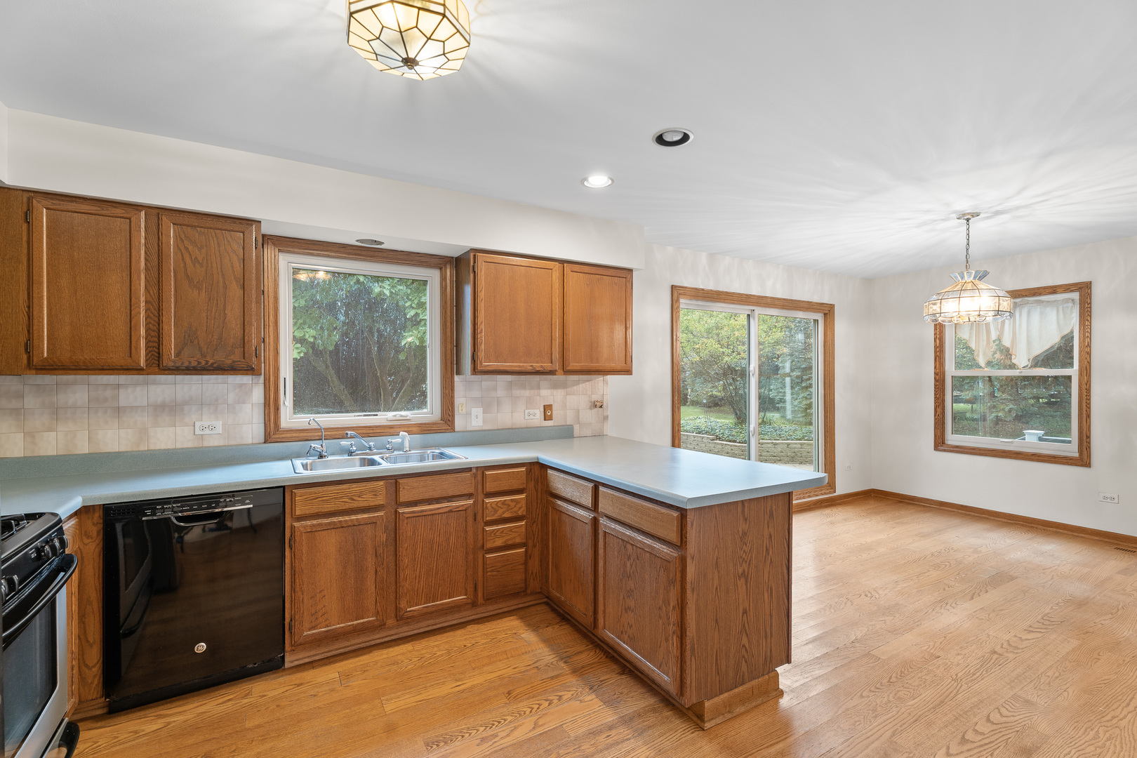 1914 Spring Dale Drive Spring Grove, IL 60081 - Photo 7 of 27