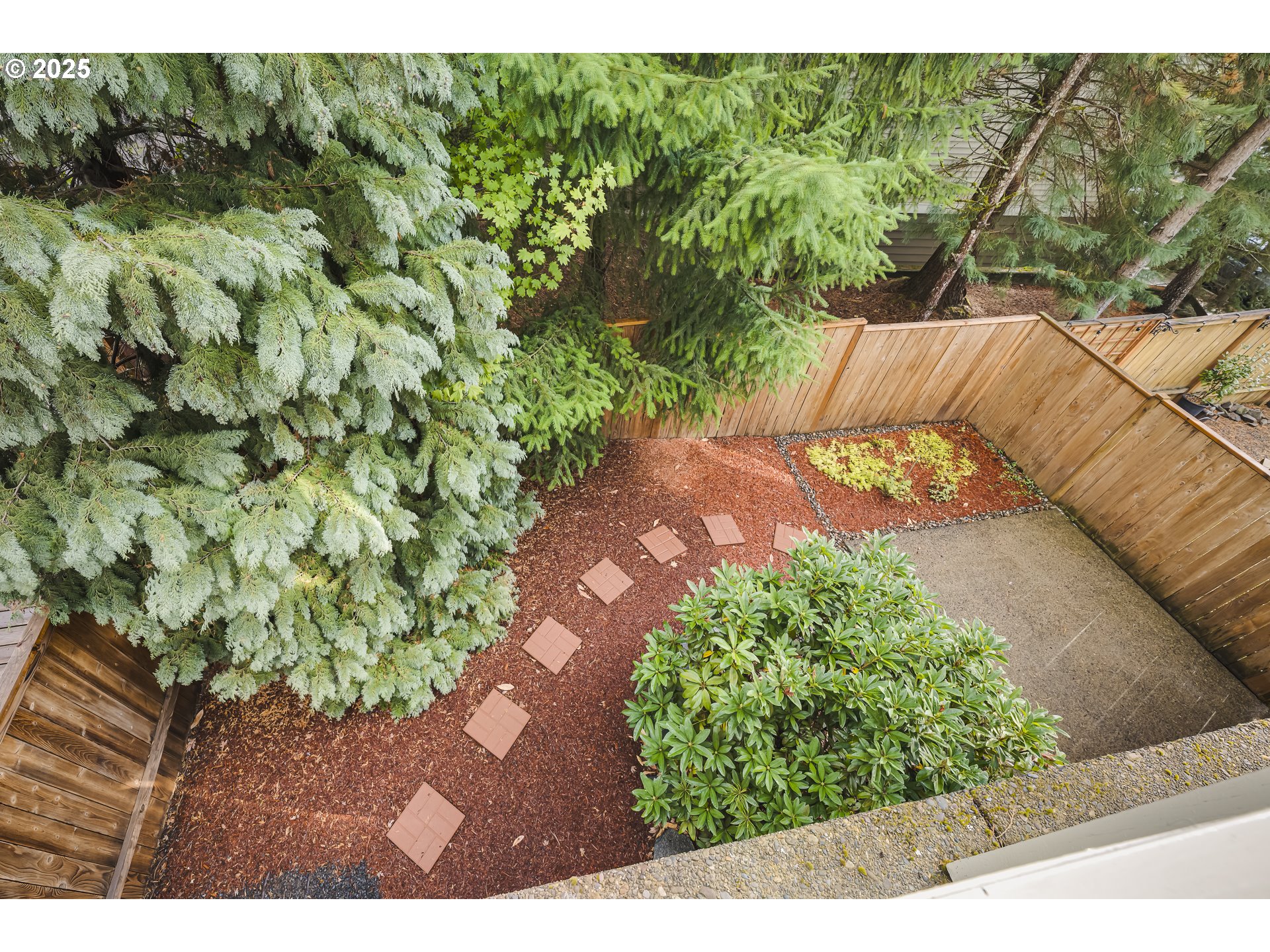 384 Southwest 105th Terrace Portland, OR 97225 - Photo 14 of 30 a view of a yard with plants