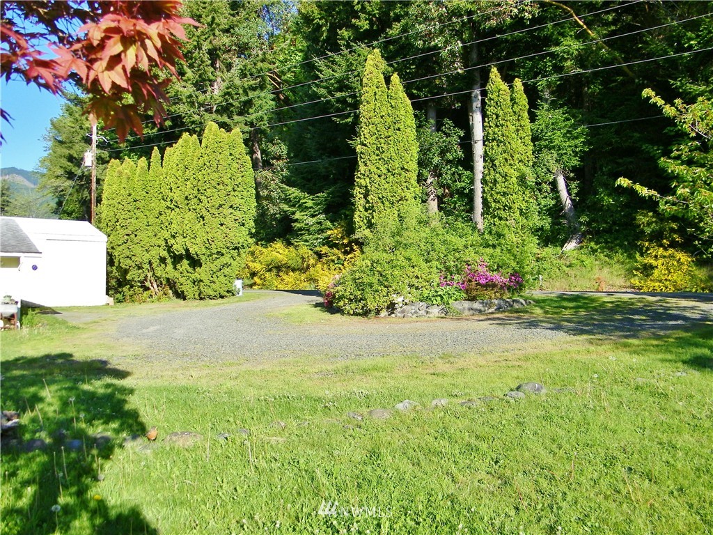 141 Dosewallips Road Brinnon, WA 98320 - Photo 18 of 25 Gallery Image 18
