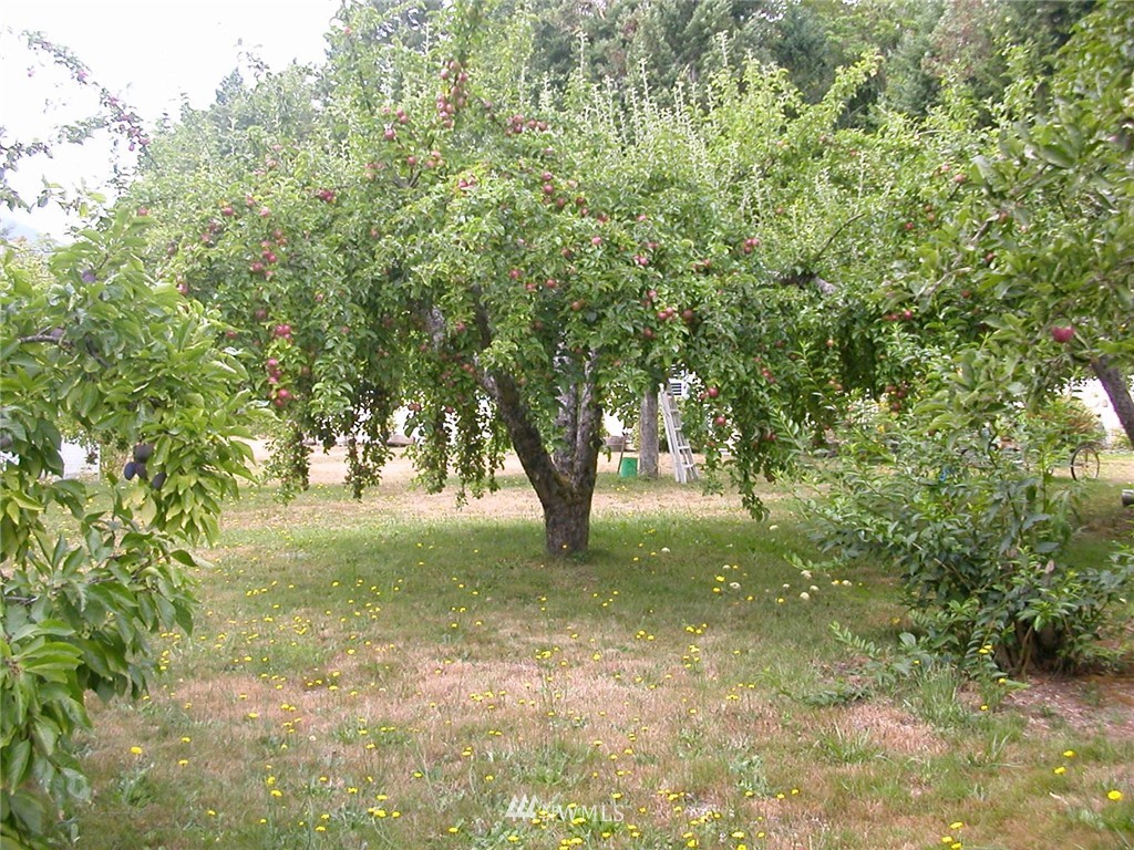 141 Dosewallips Road Brinnon, WA 98320 - Photo 24 of 25 Gallery Image 24