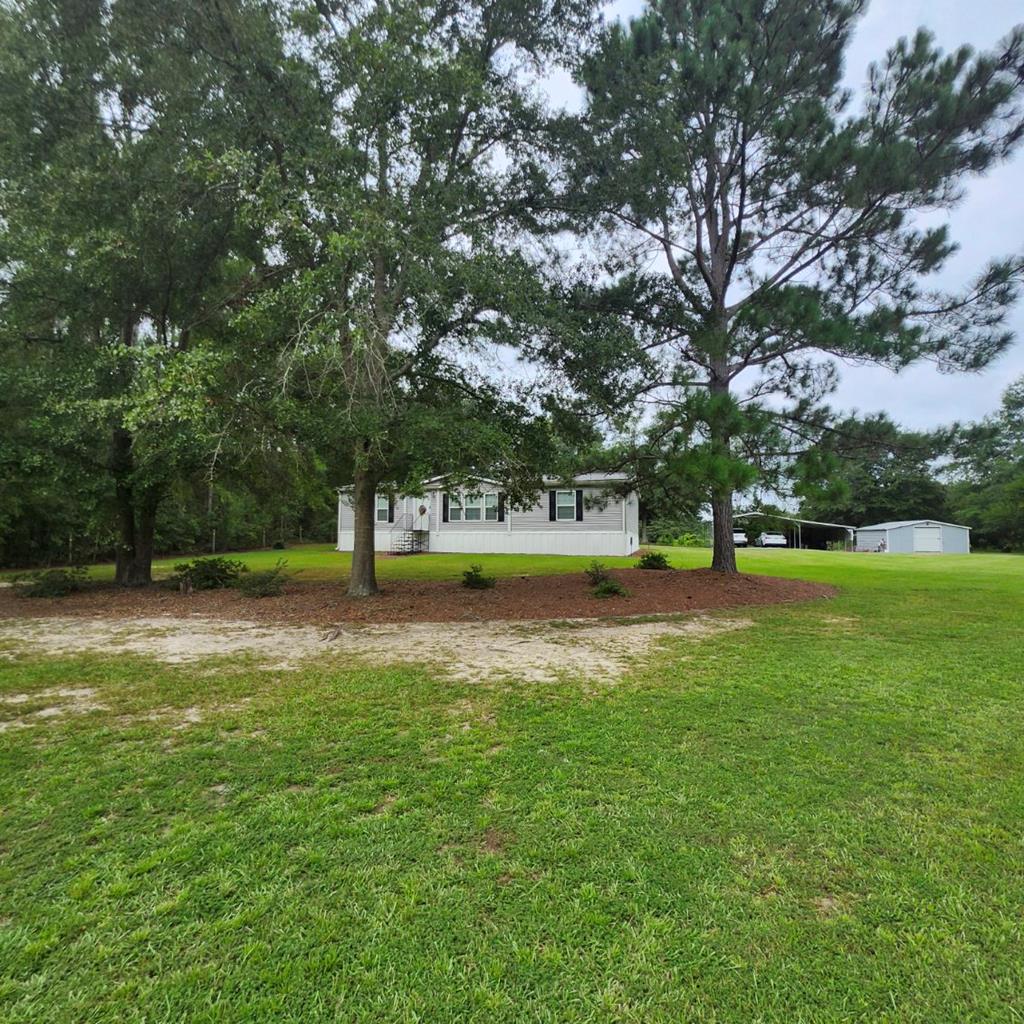 786 Blackberry Road Baconton, GA 31716 - Photo 45 of 67 Gallery Image 45