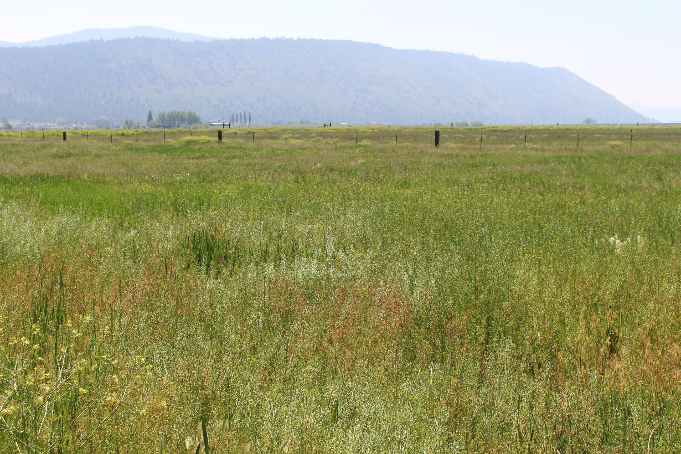 29833 Doak Road Chiloquin, OR 97624 - Photo 2 of 28 IMG_9626
