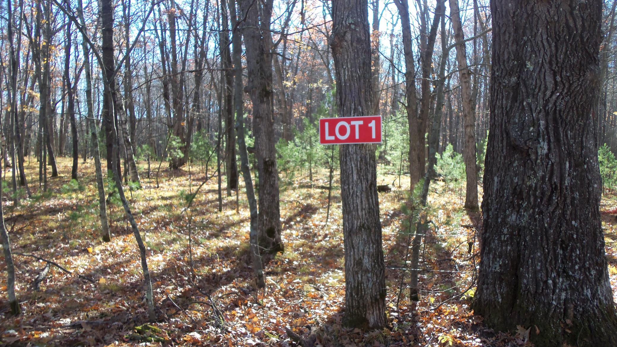 Lot 1 Windorski Road Webster, WI 54893 - Photo 1 of 1