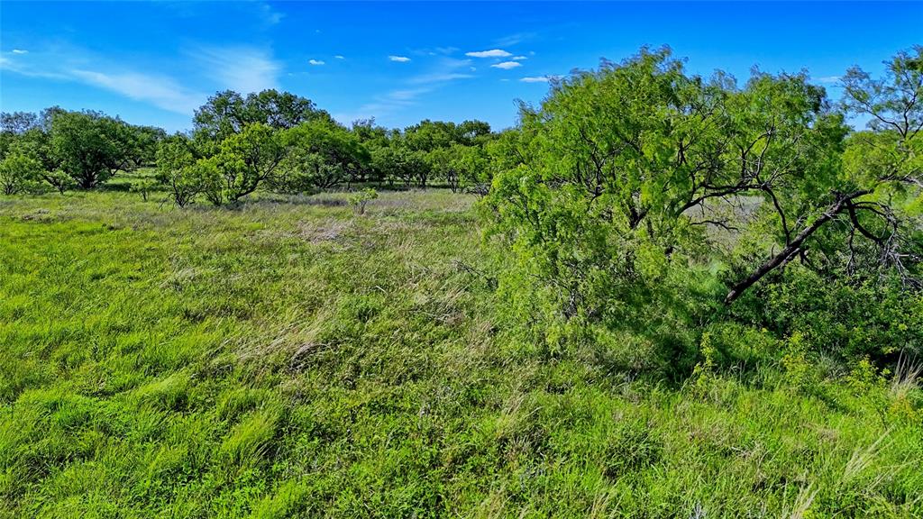 0 Carpenter Road Nocona, TX 76255 - Photo 11 of 29 a view of a lush green space