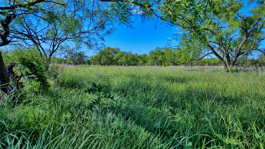 0 Carpenter Road Nocona, TX 76255 - Photo 13 of 29 a view of yard with green space