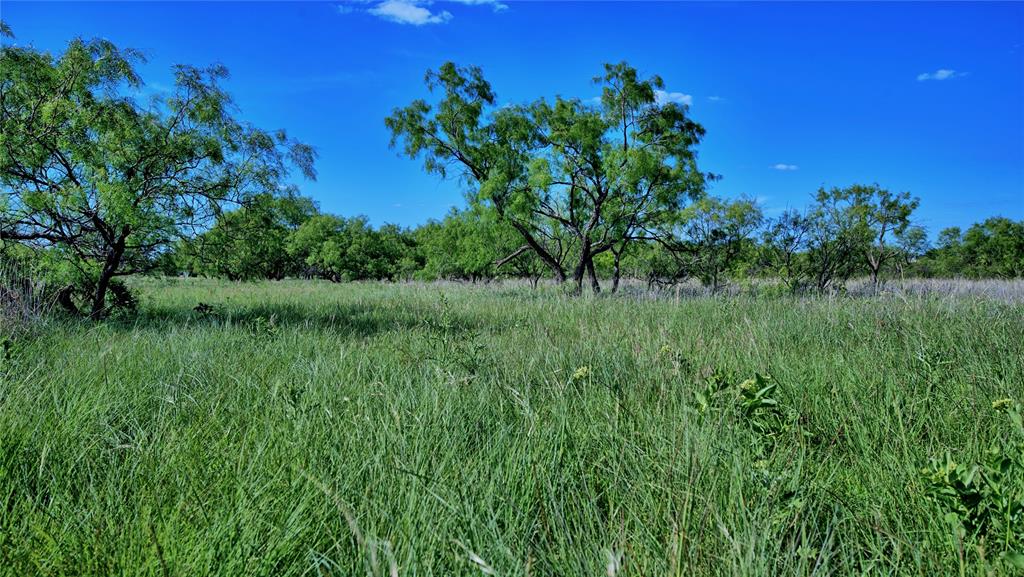 0 Carpenter Road Nocona, TX 76255 - Photo 16 of 29 a view of a garden with a lake