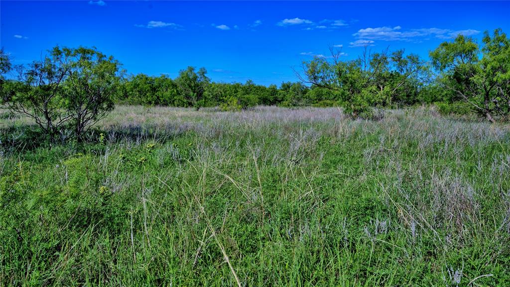 0 Carpenter Road Nocona, TX 76255 - Photo 17 of 29 a view of a lake and green yard