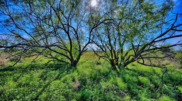 $599,000 | 0 Carpenter Road, Nocona, TX 76255