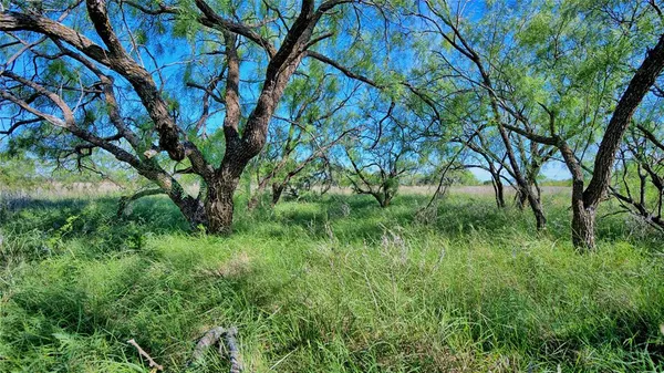 $599,000 | 0 Carpenter Road, Nocona, TX 76255