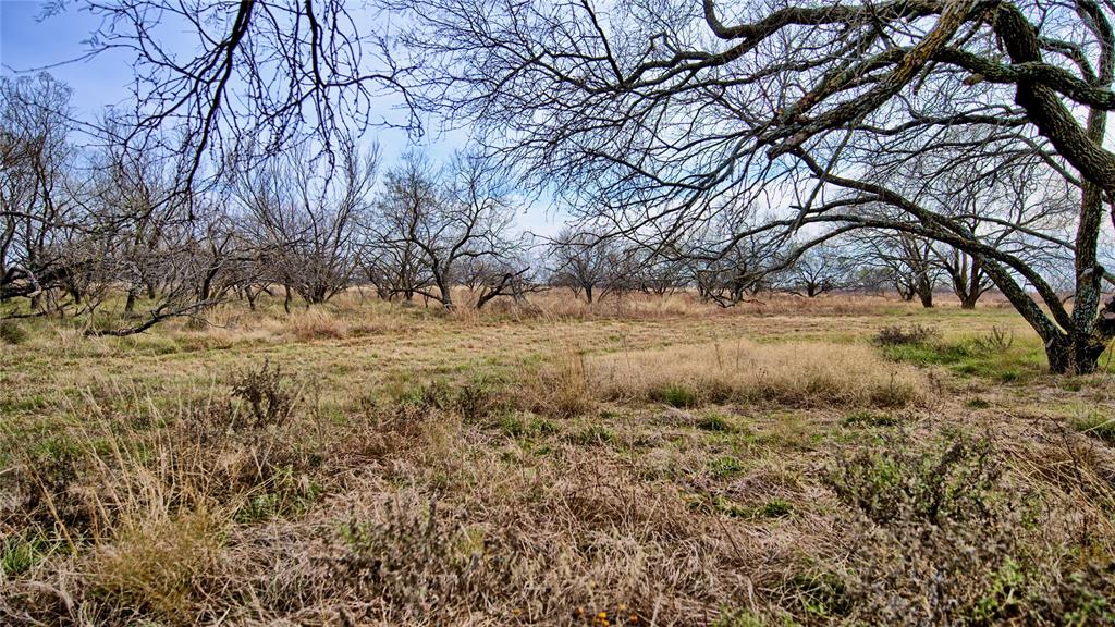 0 Carpenter Road Nocona, TX 76255 - Photo 7 of 16