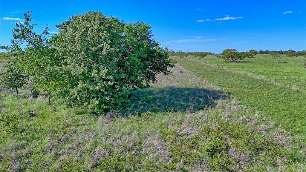 0 Carpenter Road Nocona, TX 76255 - Photo 10 of 29 a view of a big yard with plants and a tree