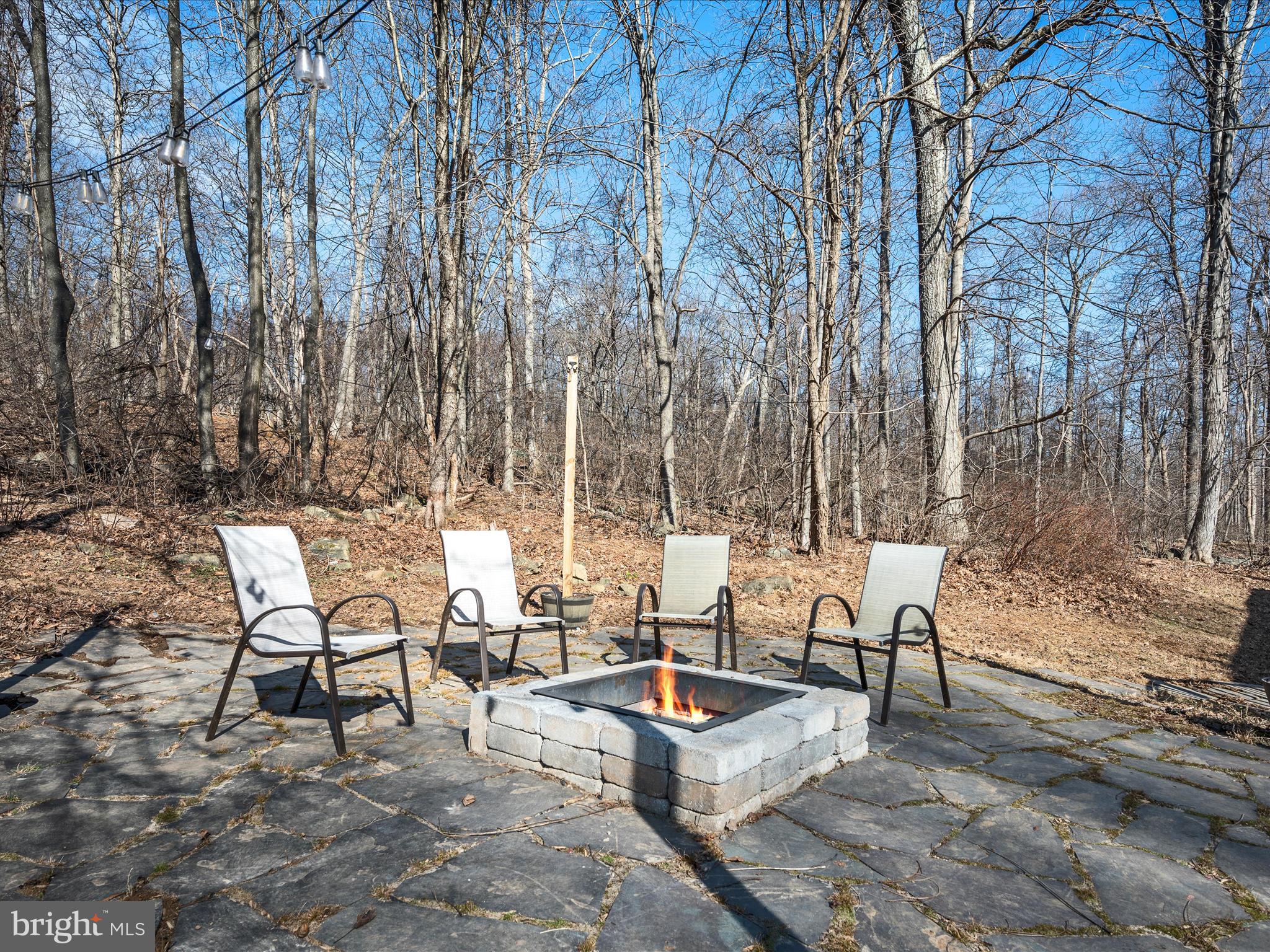 13618 Tower Road Thurmont, MD 21788 - Photo 55 of 69 Backyard