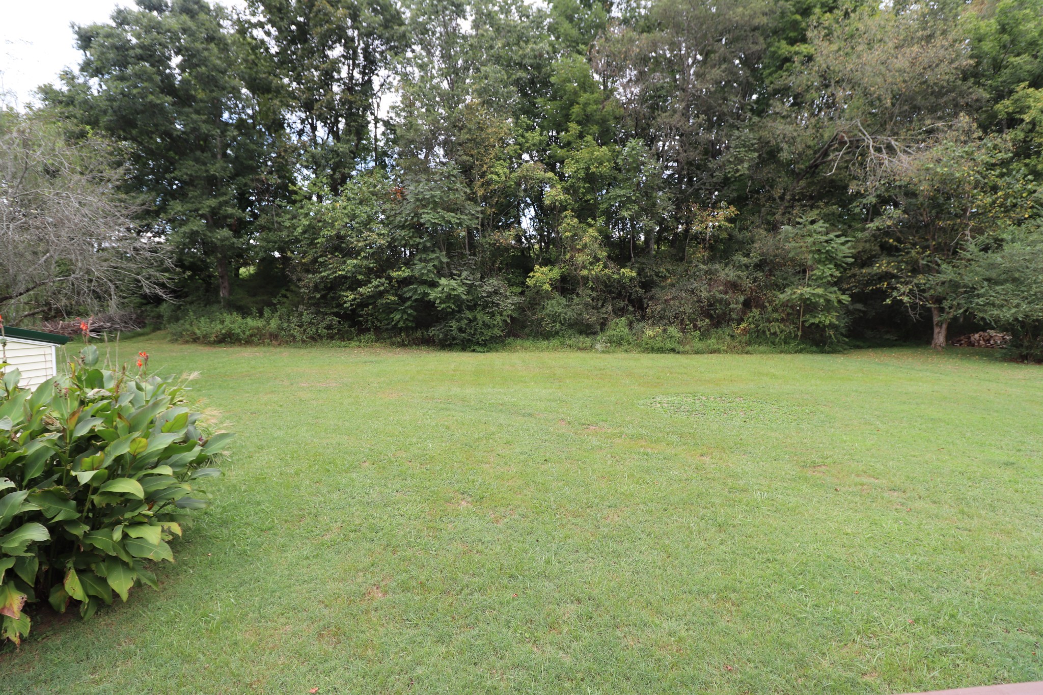 927 North Springs Road Red Boiling Springs, TN 37150 - Photo 26 of 30