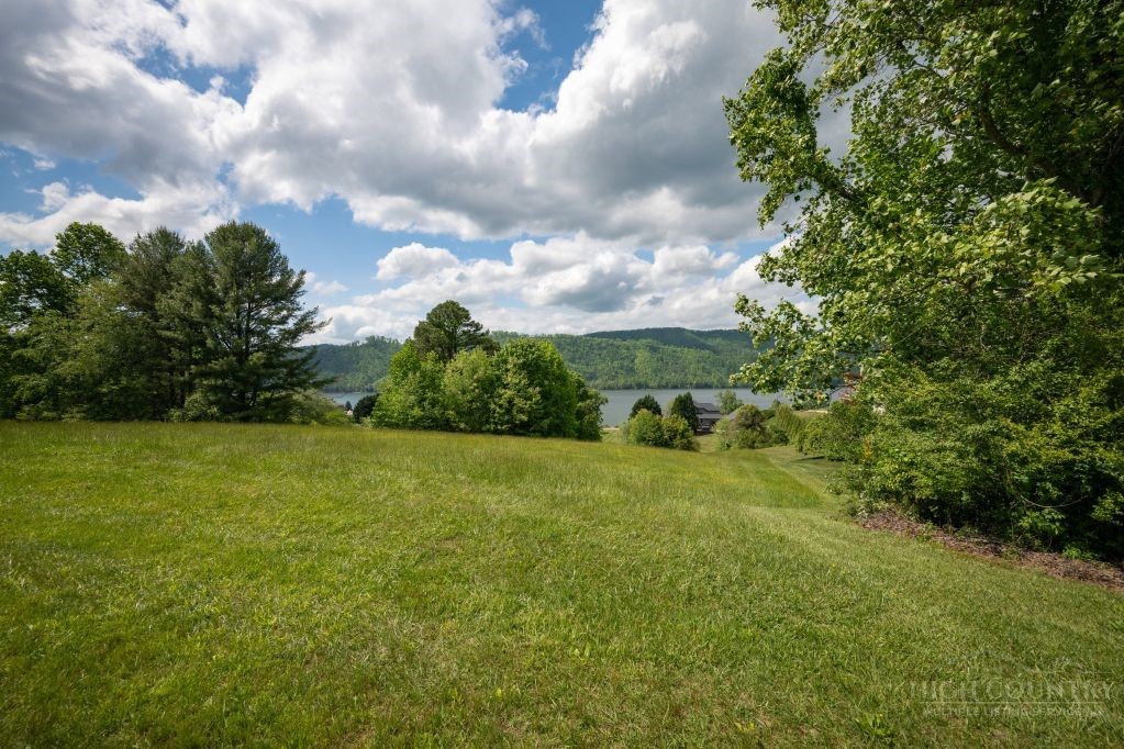 Lot 84 Harbor View Butler, TN 37640 - Photo 20 of 32 a view of a big yard with plants and large trees