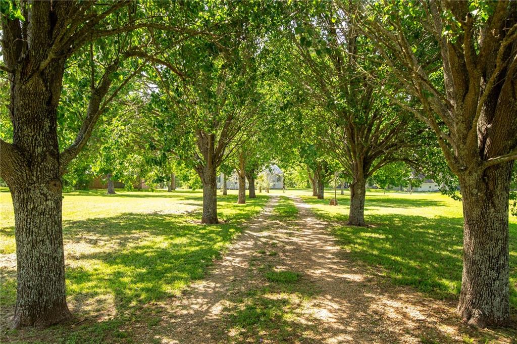524 Robert Lacaze Road Natchez, LA 71456 - Photo 2 of 34