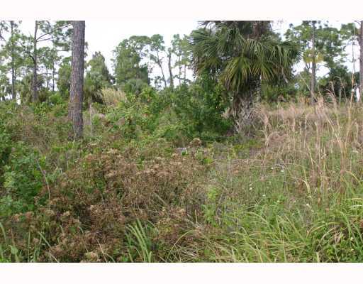 E124 West N 154th Road Jupiter, FL 33478 - Photo 2 of 5 Additional Photo