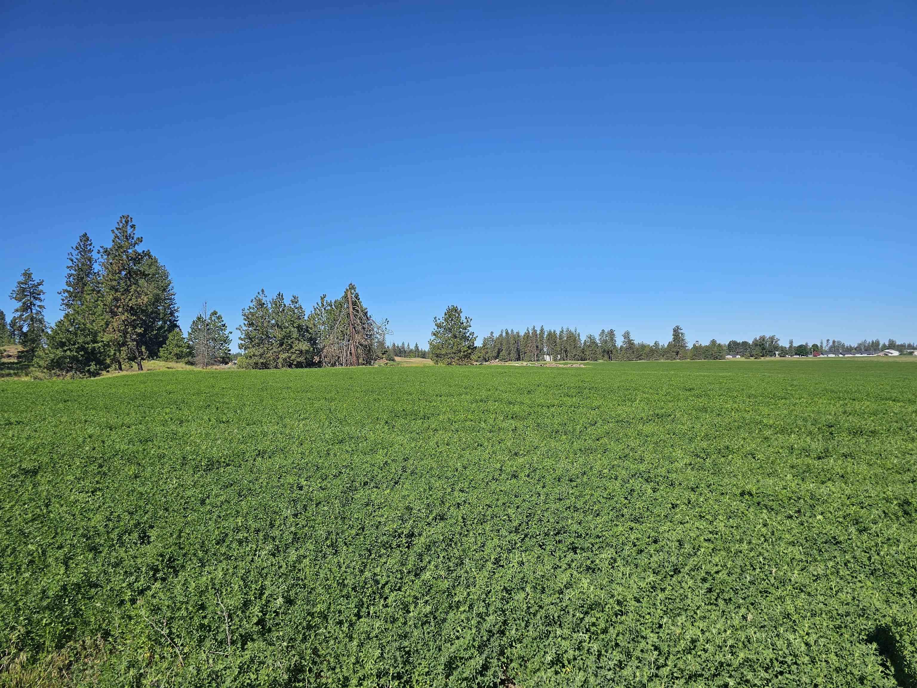 47-xx South Abbott Road Spokane, WA 99224 - Photo 1 of 9