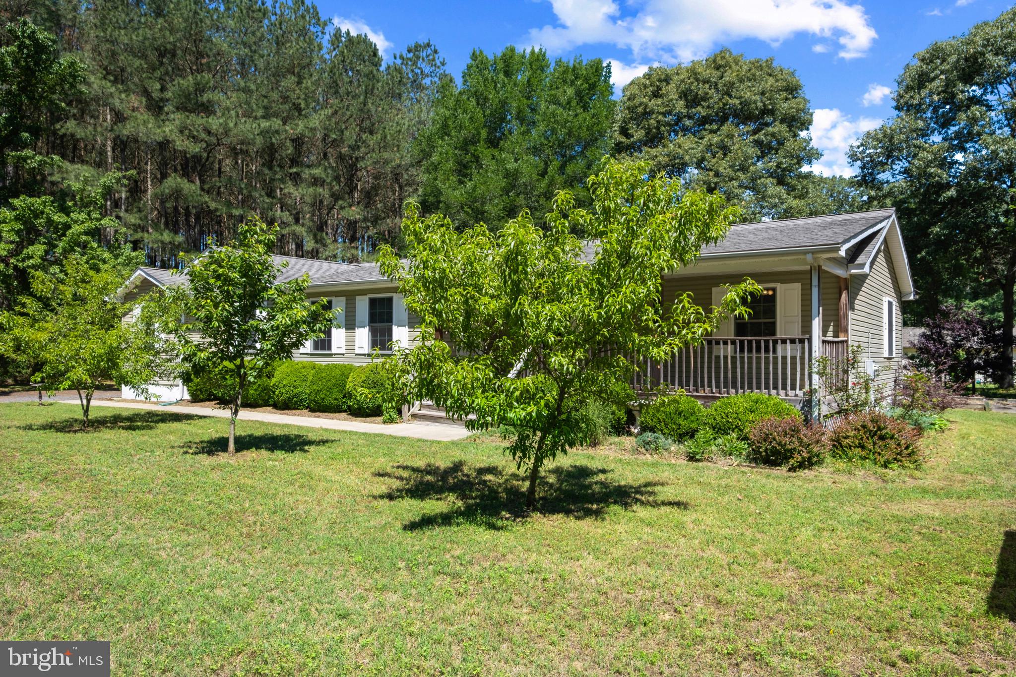 23116 Gilpin Point Road Preston, MD 21655 - Photo 54 of 66 Room for plants, pets, and play.