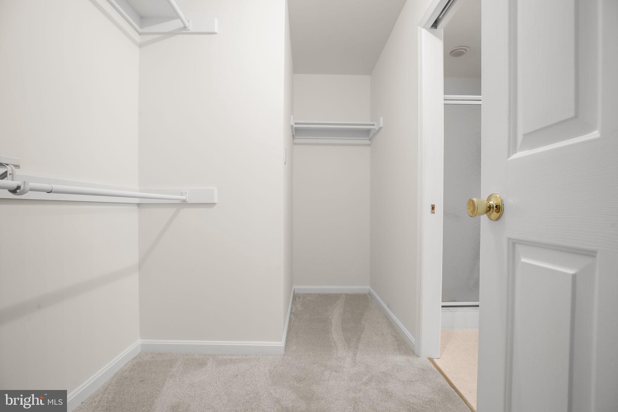 201 Green Street Locust Grove, VA 22508 - Photo 31 of 60 Primary #1 Walk-in closet