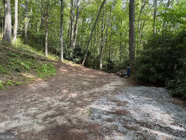 a view of a forest with trees