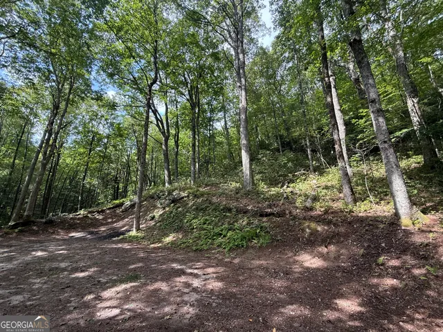 a view of outdoor space and trees