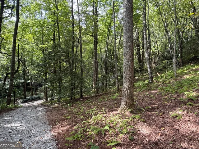 a view of outdoor space and green space
