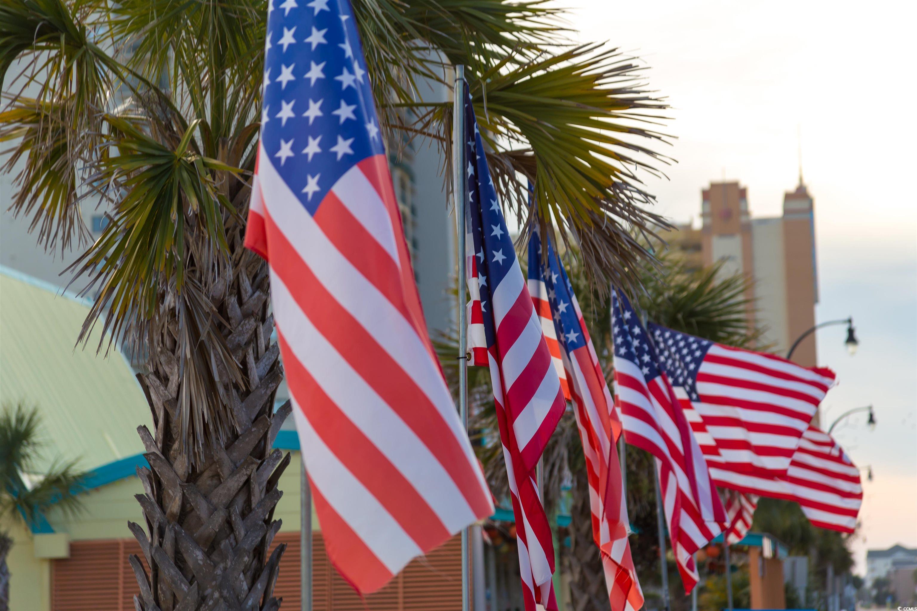 170 Tomoka Trail Longs, SC 29568 - Photo 34 of 35