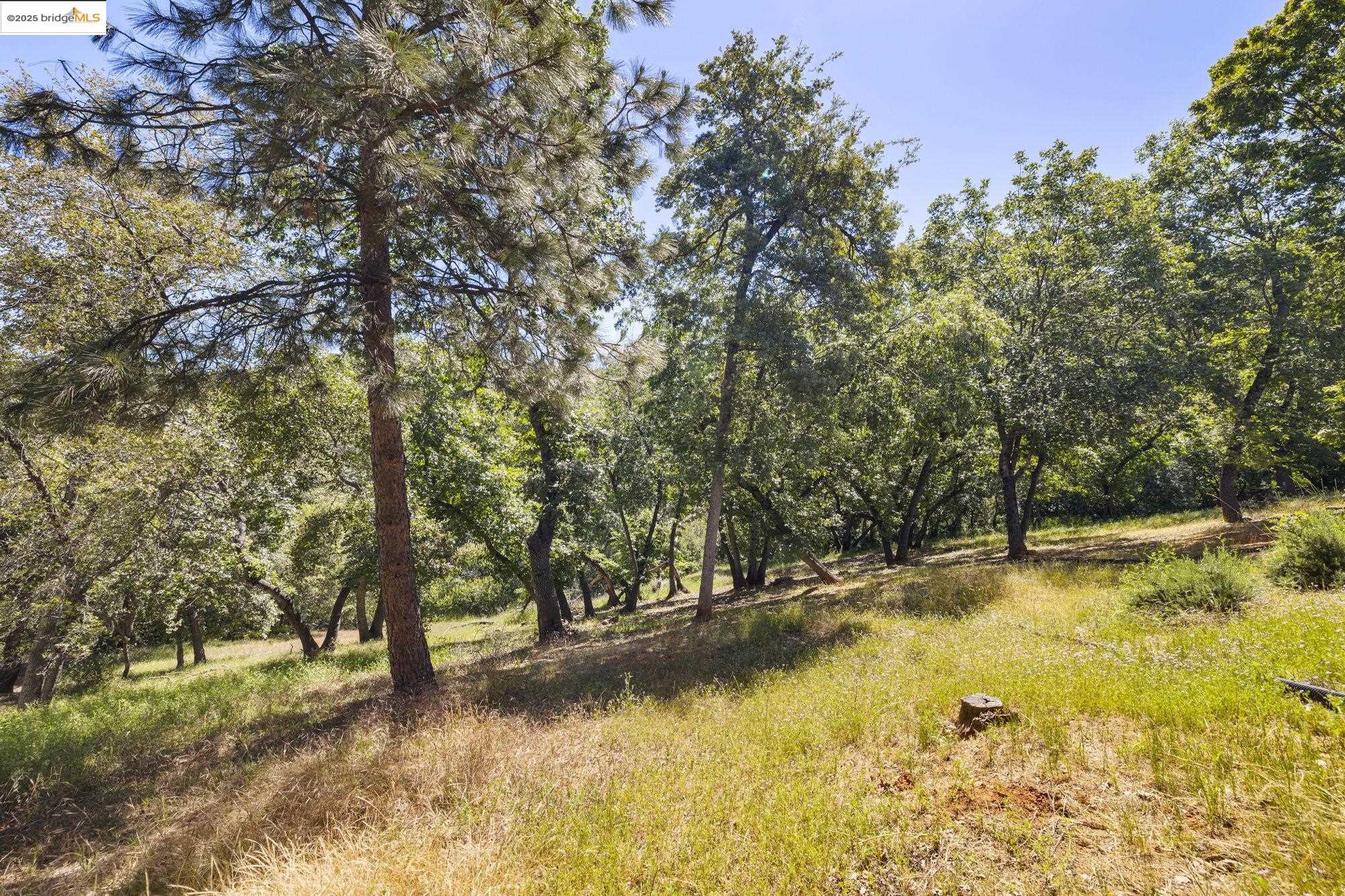 15840 Ridgefield Court Sonora, CA 95370 - Photo 37 of 38