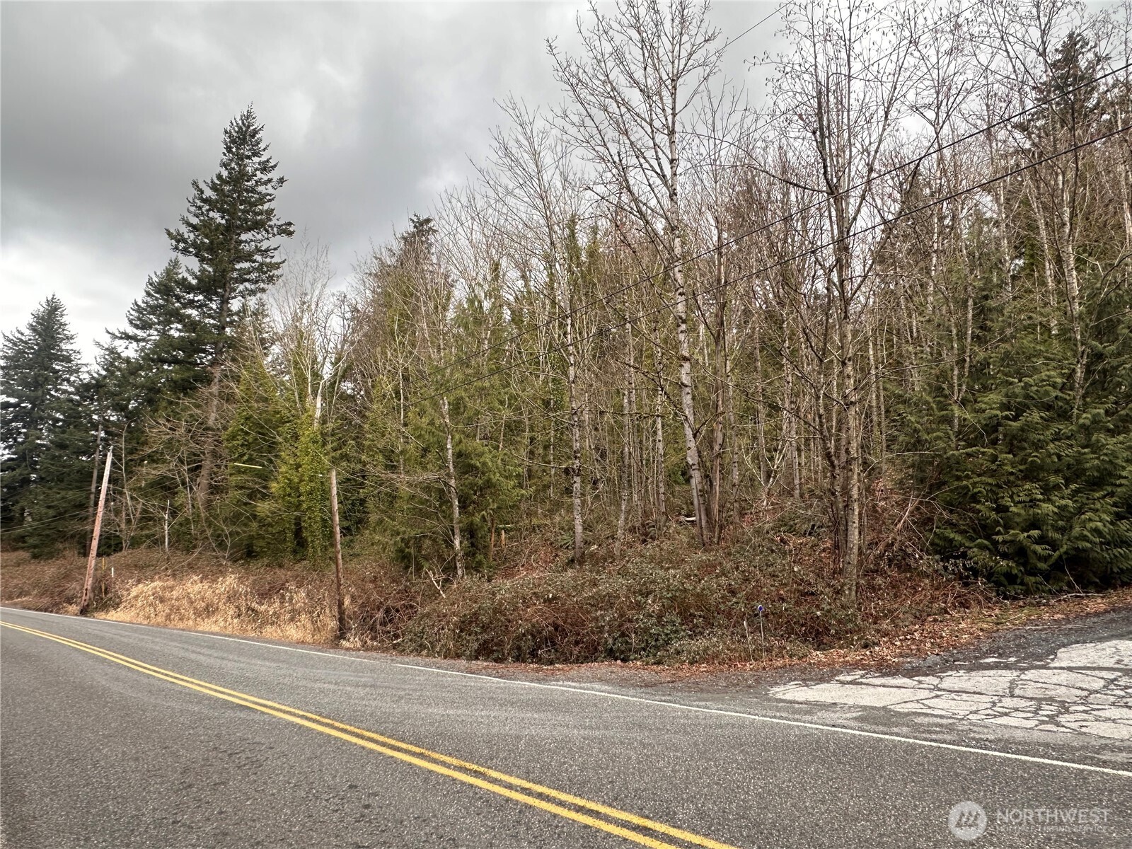40 Xx South Pass Road Everson, WA 98247 - Photo 1 of 2 Gallery Image 1