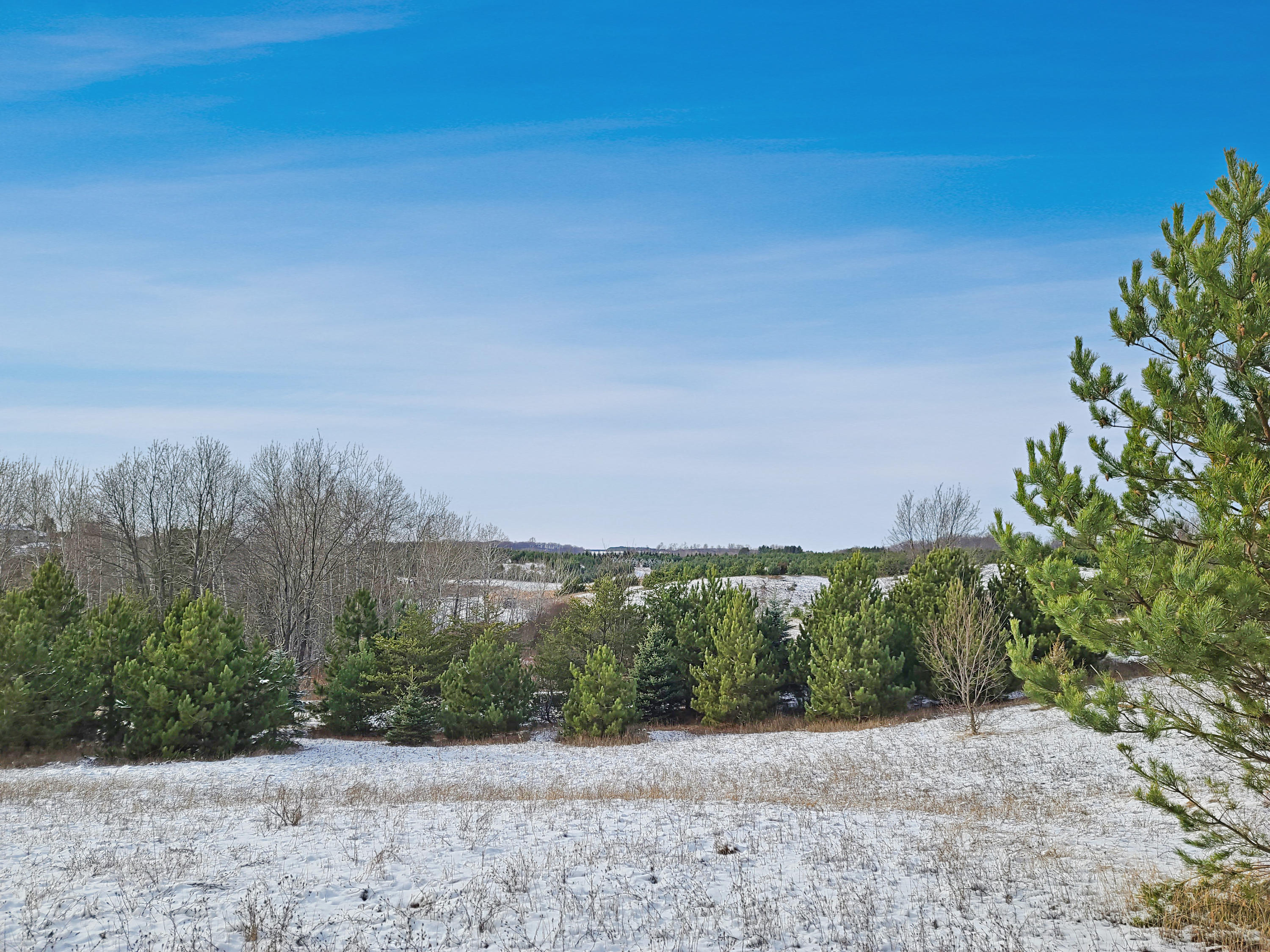 Poquette Road Gaylord, MI 49735 - Photo 13 of 14 Gallery Image 13