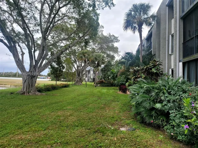 a view of backyard with large trees