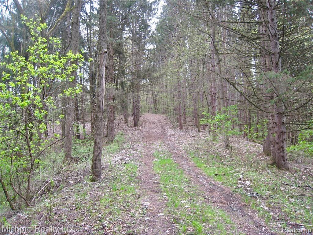 Parcel 2 South Lapeer Road Metamora, MI 48455 - Photo 4 of 17