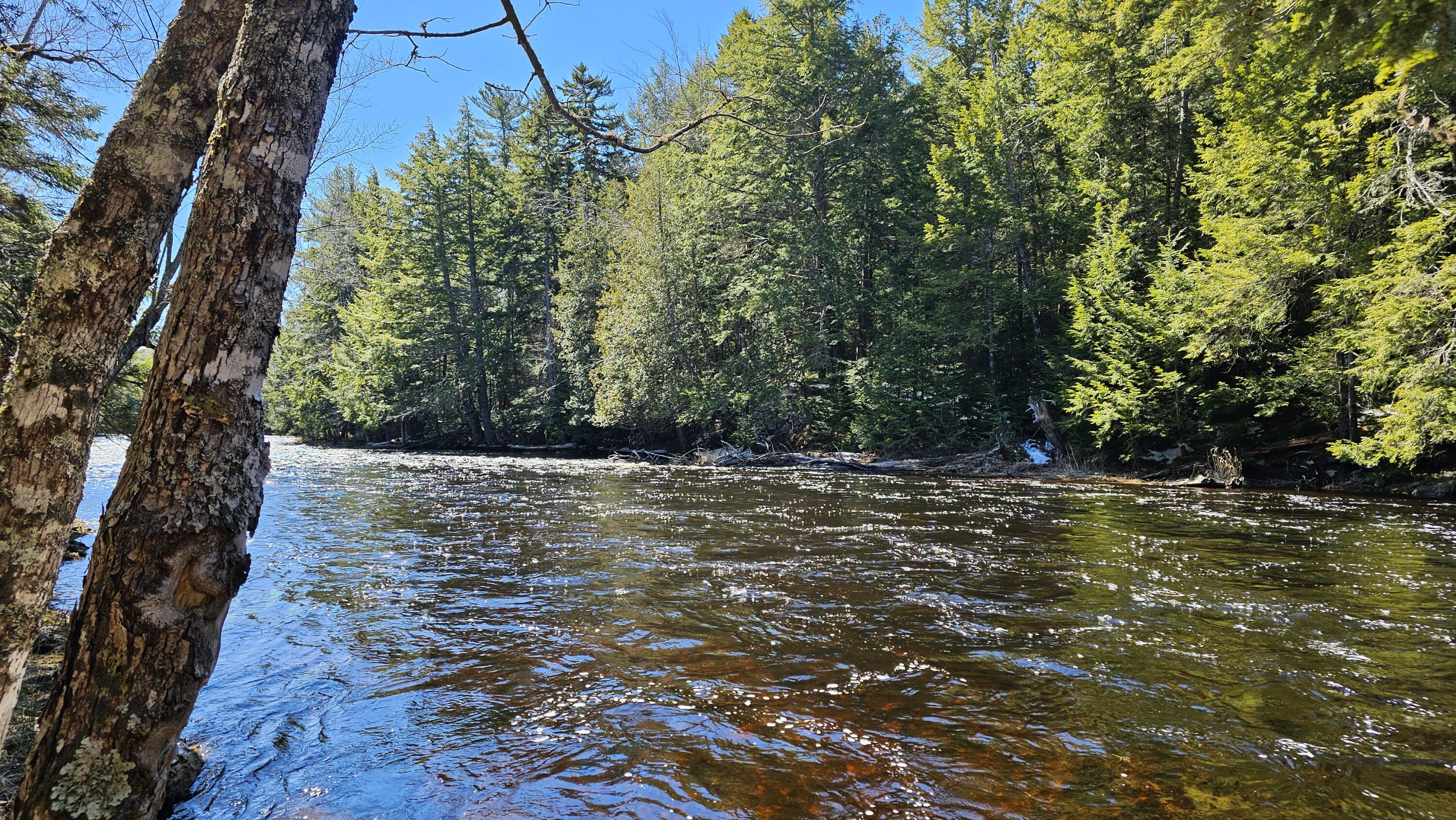 Lot #92 Smith Road Ellsworth, ME 04605 - Photo 12 of 18 Union River