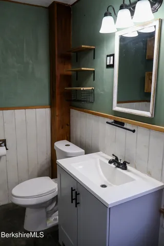 a bathroom with a sink a toilet and mirror