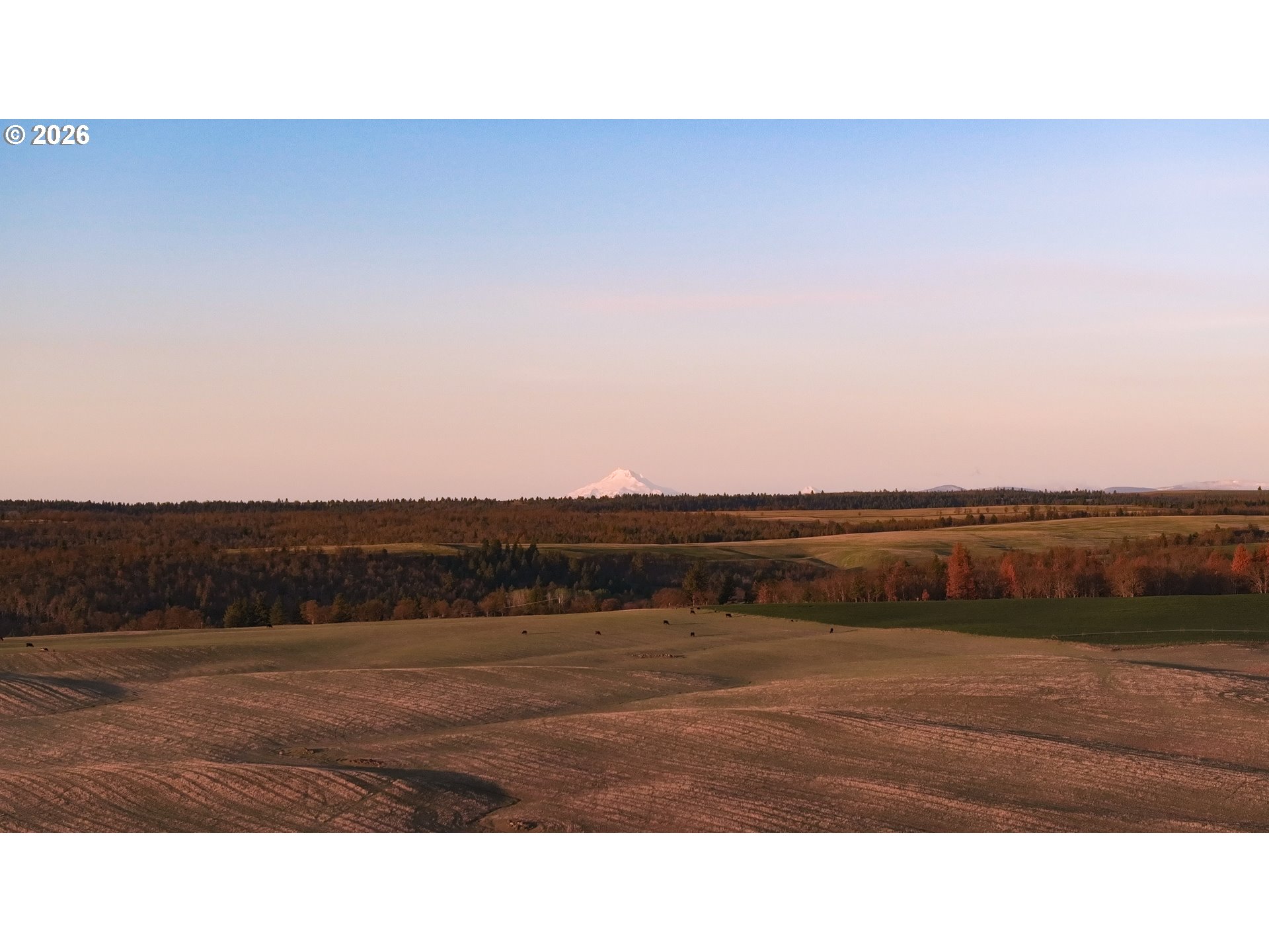 81127 Rail Hollow Road Dufur, OR 97021 - Photo 45 of 47