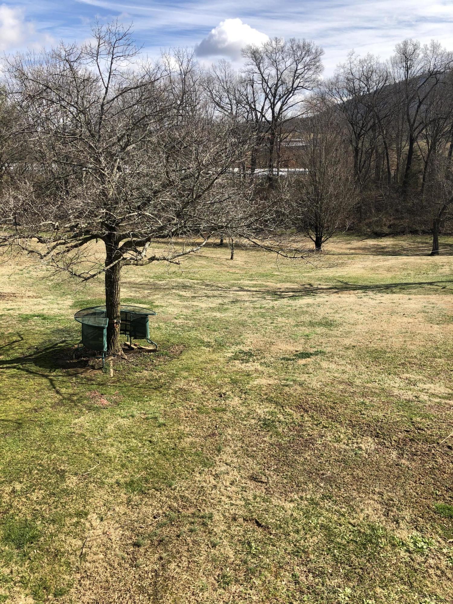 3105 Cedar Creek Road Greeneville, TN 37743 - Photo 30 of 36 1AC2C3F4-ABD7-4330-9175-0D9E147DE405