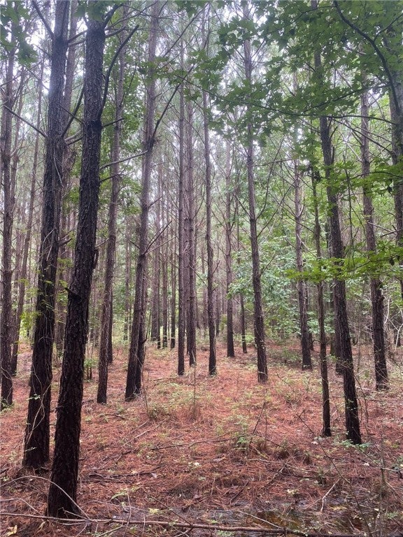 0 Wende Road Hurtsboro, AL 36860 - Photo 19 of 21 Gallery Image 19