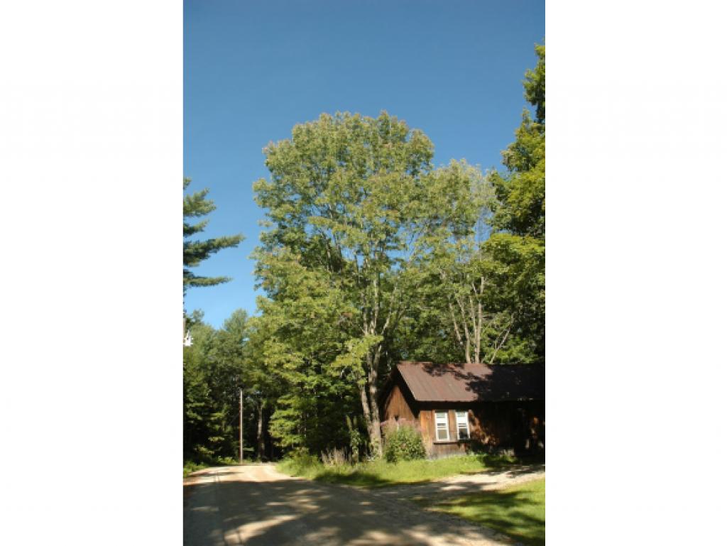 31 Norris Road Weare, NH 03281 - Photo 4 of 33 Gallery Image 4