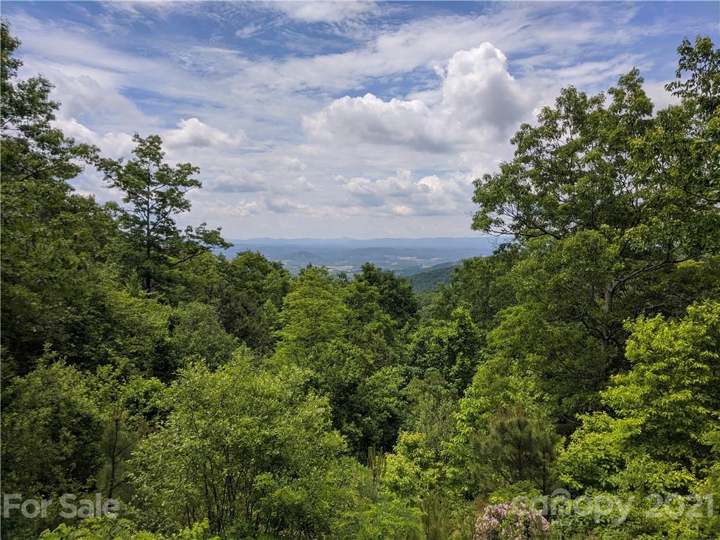 773 Pine Ridge Road, Unit 63 64 65 Hendersonville, NC 28792 - Photo 4 of 16 Gallery Image 4