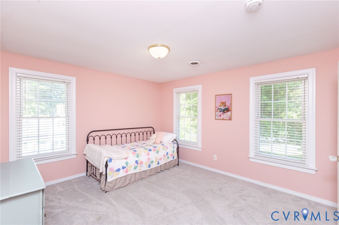 13065 Riverside Court Ashland, VA 23005 - Photo 41 of 66
