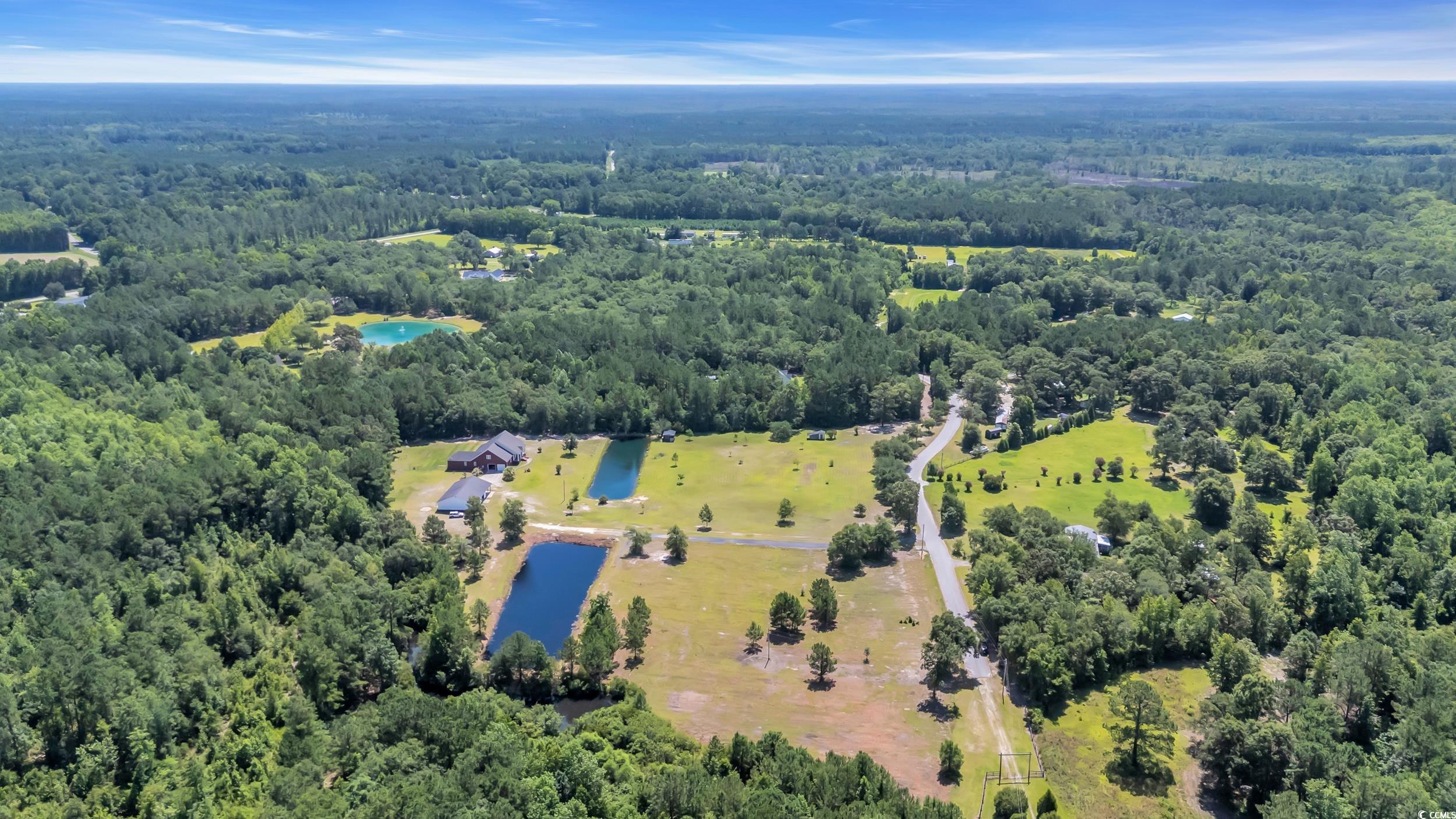 602 Alligator Road Andrews, SC 29510 - Photo 3 of 6