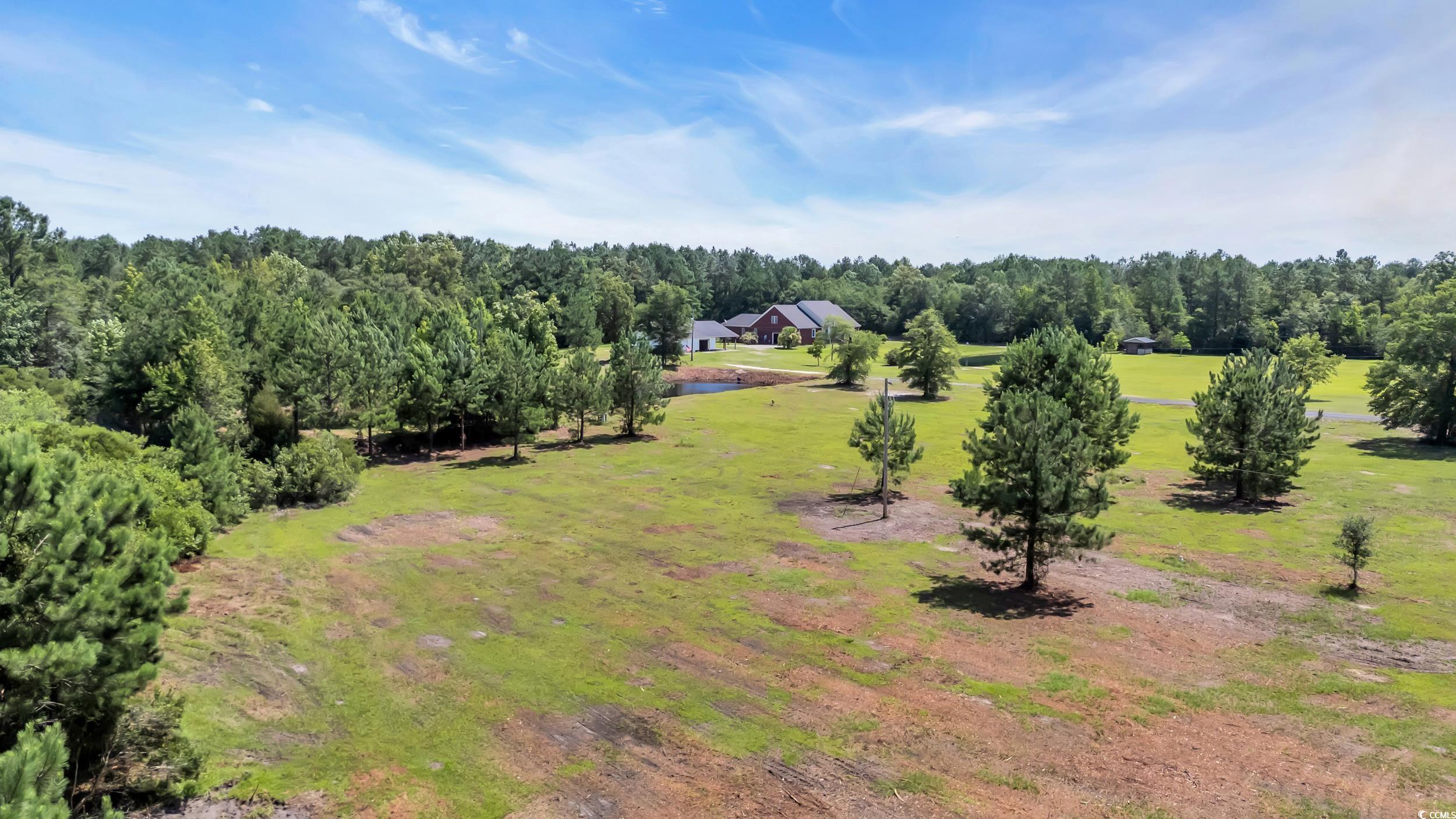 602 Alligator Road Andrews, SC 29510 - Photo 4 of 6